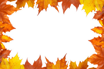 Wall Mural - Autumn border made of leaves, isolated on white background