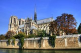 Fototapeta Paryż - Paris - Notre Dame