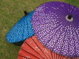 Fototapeta Bambus - 和傘