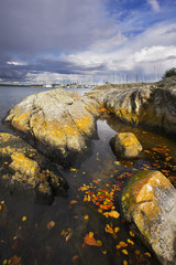 Poster - The coastal  stones on ocean passage, and sailing yachts...