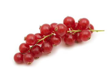 Wall Mural - red currant on white background