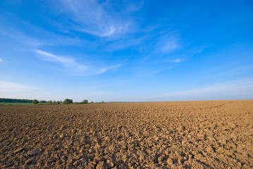 ploughed field and blue sky