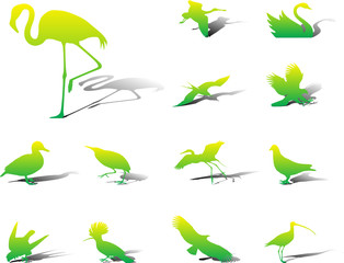 Wall Mural - Set icons. Birds