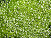 Background With Green Bubbles