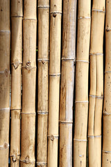  Bamboo Wall