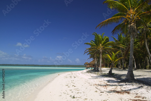 Tropical Dream Beach Paradise Of The South Pacific This Stock Tropical Dream Beach Paradise Of The South Pacific