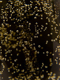 Fototapeta Panele - Macro of sparkling champagne against black background.