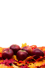 Wall Mural - Fall leaves with red apples on white background, fall scene