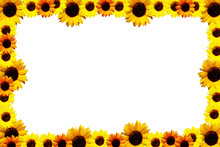 Sunflowers Frame