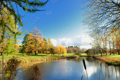 Naklejka nad blat kuchenny Autumn in the park