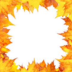 Wall Mural - Autumn border