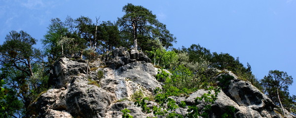 Poster - Bärenschützklamm bei Graz / Österreich