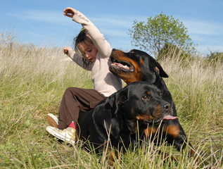 Poster - fillette et chiens rottweilers