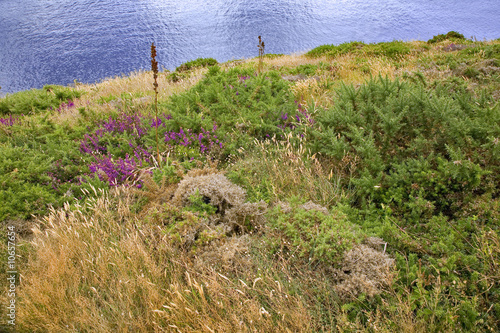 Plakat na papierze fotorealistycznym Brittany; 