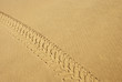 imprint on the sand