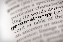 Dictionary Series - Miscellaneous: Genealogy