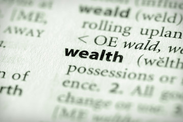 Wall Mural - Dictionary Series - Economics: wealth