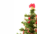 Fototapeta Konie - Isolated Christmas tree