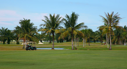 golf cart in tropics