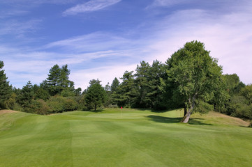 Approach to putting green