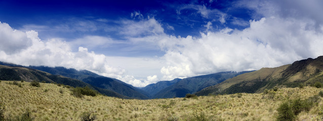 Wall Mural - Manu National Park