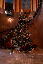 Hotel Lobby Tree