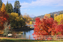 Fall Foliage, Deschutes River At Drake Park In Bend, Oregon