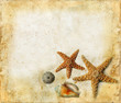 Starfish and Shells on a Grunger Background