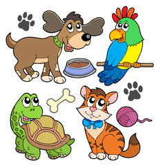 Wall Mural - Pet collection