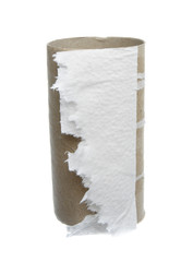 toilet paper 5