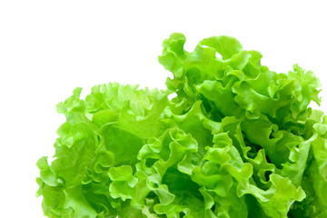 lettuce