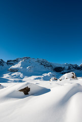 Wall Mural - Winter scenery