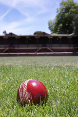 Wall Mural - Cricket ball.