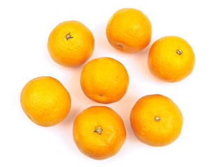 Sticker - orange mandarines