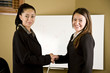 © evok20 - Business women