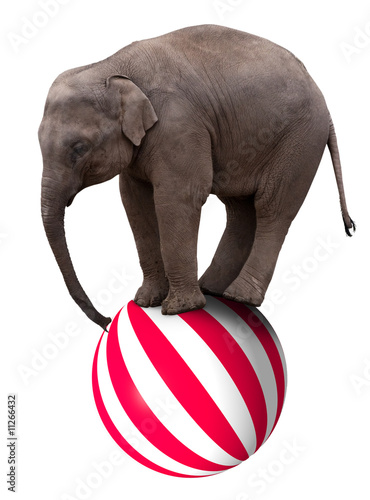 Photo  Baby elephant on ball