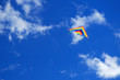 © Maciej Qn Majewski - Kite on sky background