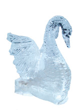 Figure A Swan Which Has Been Cut Out From The Ice