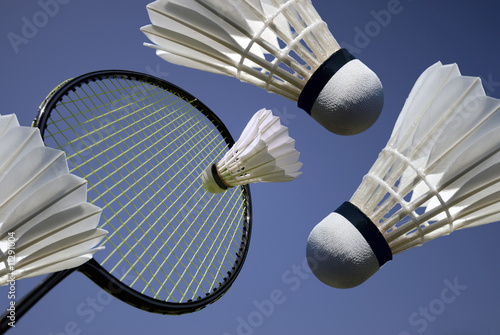Dekoracja na wymiar  akcja-badmintona
