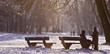 Winter im Park