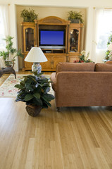 Wall Mural - living room with hard wood flooring