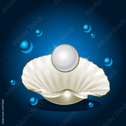 真珠貝と真珠のイメージ Adobe Stock でこのストックイラストを購入して 類似のイラストをさらに検索 Adobe Stock