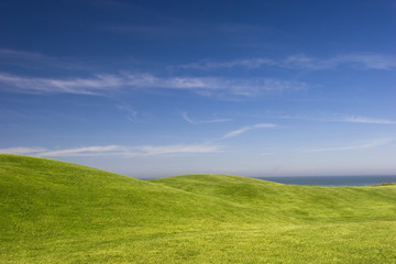 Wall Mural - Green Meadow