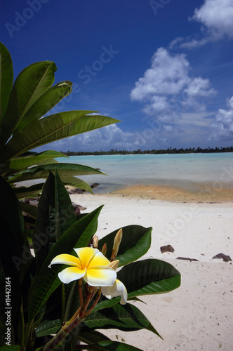 Board z aluminiowym obramowaniem Tiare na tle białej, piaszczystej plaży, tahiti, polinezja