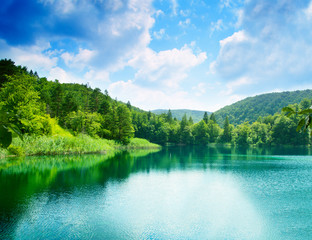 Canvas Print - green water lake in forest