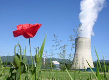 Kernkraftwerk Und Natur/nuclear Power And Nature