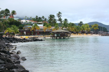 Wall Mural - Martinique