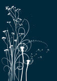 160_f_11656067_2oqs9a0k1itaon7jlf5xndnmfttqy8ar
