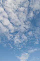 Wall Mural - cielo azzurro e nuvole