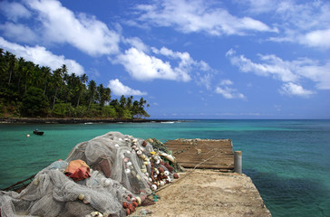 Wall Mural - equator beach